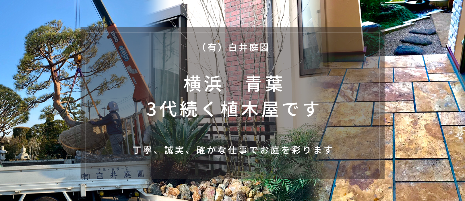 （有）白井庭園　横浜 青葉 ３代続く植木屋です